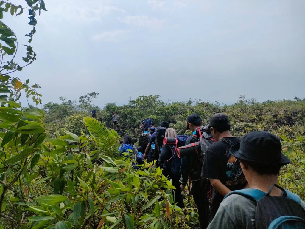 whatsapp image 2022 11 23 at 09.00.36 1024x768