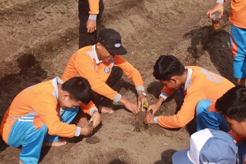 snapinsta.app 425363328 766601338198168 2493018097816518597 n 1080