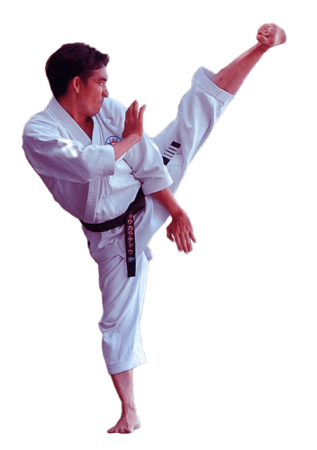 martial arts school cta bg 1.png