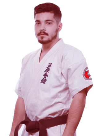 martial arts secondary instructor 3.png